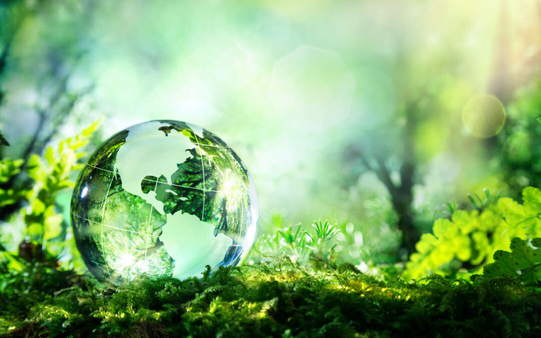 Incentivi ed ecobonus